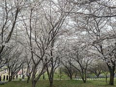 -苏州上方山国家森林公园