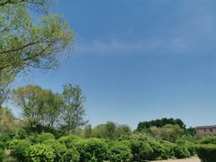 -丁香湖公园