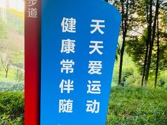 -龙头寺公园