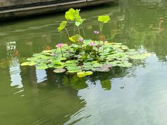-广州西关永庆坊旅游区