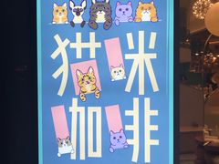 门面-飞行喵MR PILOT|猫舍·猫咖(静安大融城店)