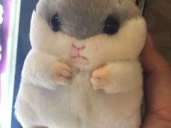 -大玩家超乐场(万达广场苏州吴中店)