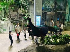 -福州罗源湾海洋世界旅游区