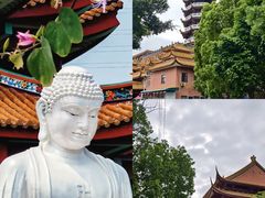 -仙岳公园