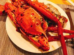 -咖啡苑·沈阳今旅酒店Hotel Jen·香格里拉集团