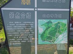-白水寺森林公园