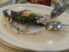 油盐蒸泉水鲩鱼-新榕记滨江壹號