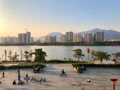 -飞来湖湿地公园