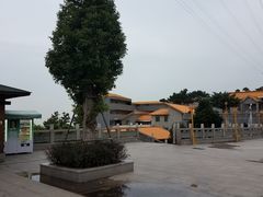 -仙岳公园