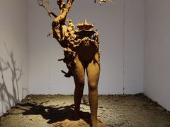 -苏州本色美术馆