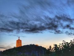 -永定河休闲森林公园