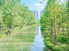 -洋湖国家湿地公园