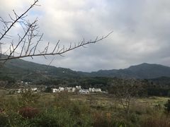 -塔川景区