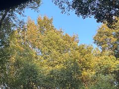 -沈阳“九·一八”历史博物馆