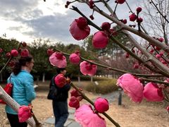 -白塘生态植物园