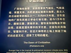 -广西壮族自治区博物馆