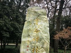 -灵谷景区
