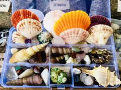 -寻石问宝研学亲子乐园(朝阳公园店)