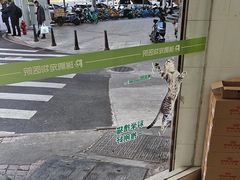 -瑞鹏·疫苗·绝育·宠物医院(广九店)