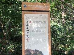 -北京鹫峰国家森林公园
