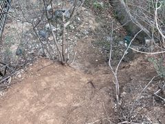 -北京鹫峰国家森林公园