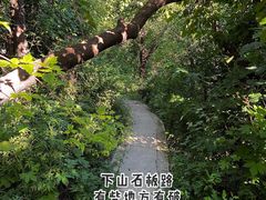 -北京十三陵国家森林公园蟒山景区