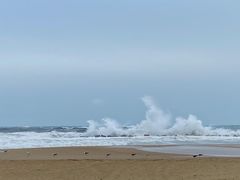 -小巴塞罗那海滩