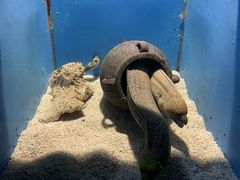 -大连老虎滩海洋公园