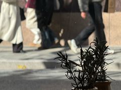 -La Strada(安福路店)