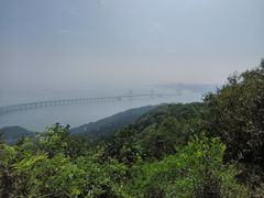 -星海湾跨海大桥