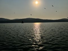 -水上明月·湖景餐厅