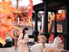 -Blue Concept Cafe&Farm·關於藍