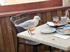 -12 Rocks Beach Bar Cafe