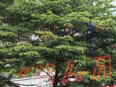 -红盔甲·小龙虾(车公庙店)