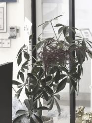 -松源造型