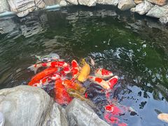 -天竺岩寺