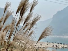 -洪霞餐馆
