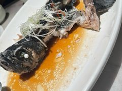 -船歌·鱼水饺青岛菜(闽江二路店)