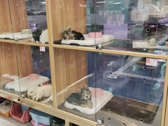 -FAELING PETS美天灵宠物(富力广场店)