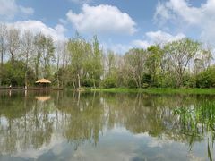 -溱湖国家湿地公园