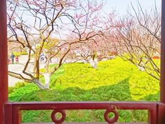 -上海海湾国家森林公园