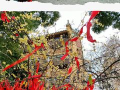-宝通禅寺