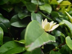 -网易（杭州）网络有限公司
