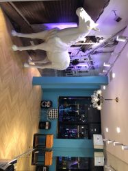 -DOS HOP潮上舞蹈