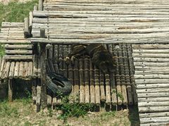 -青藏高原野生动物园
