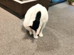 -CLUE演绎实景剧本杀(江南西店)