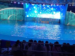 -海合安青岛极地海洋公园
