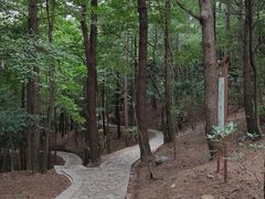 -四明山国家森林公园