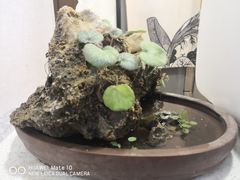 -茶庐(百花洲路店)