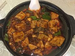 -陈麻婆豆腐总店